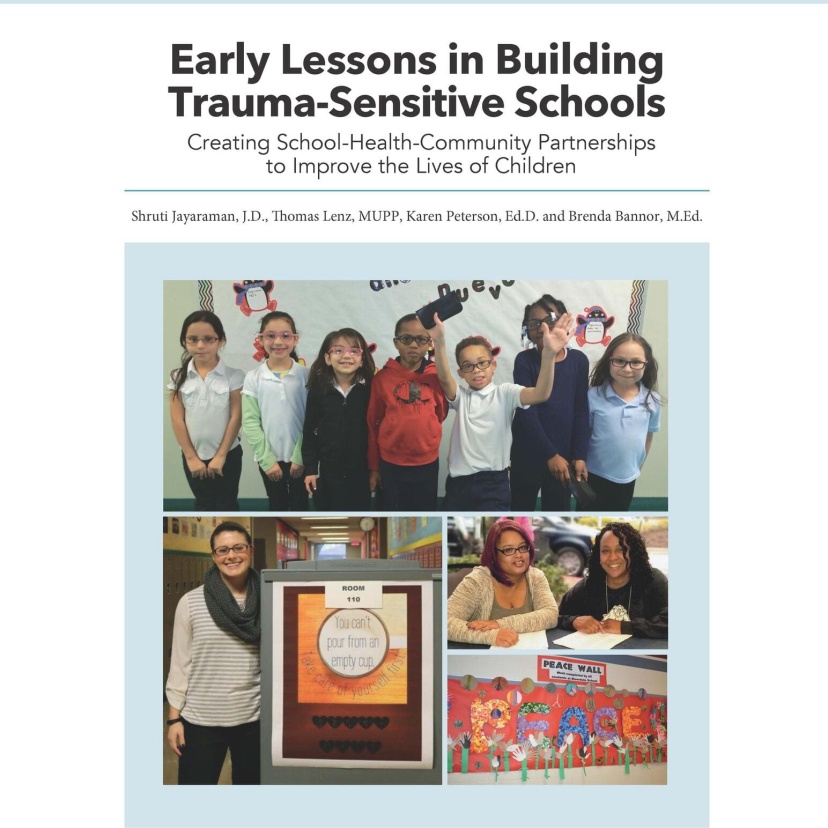Early lessons report thumbnail