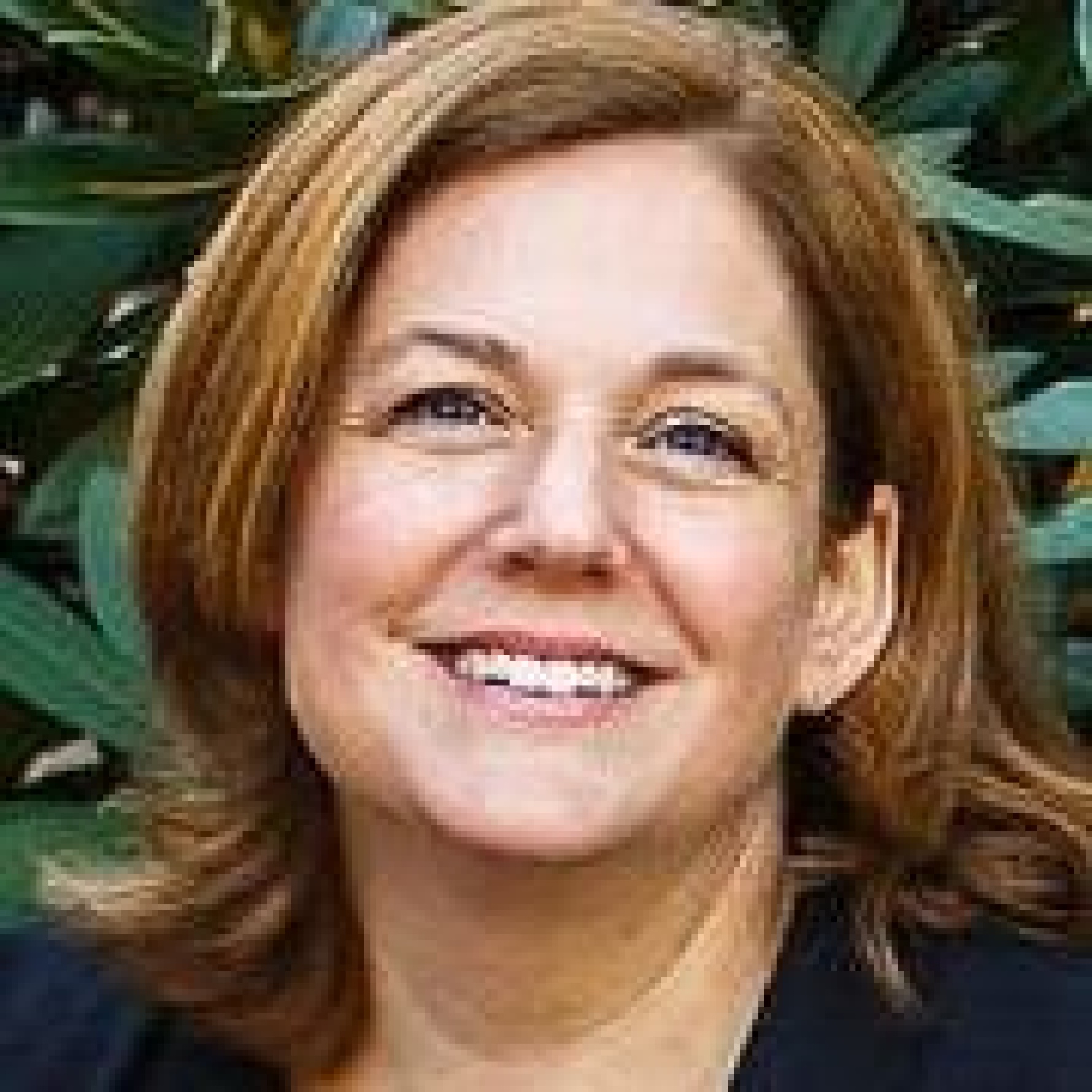 Lynne Sacks Lynne Sacks Headshot